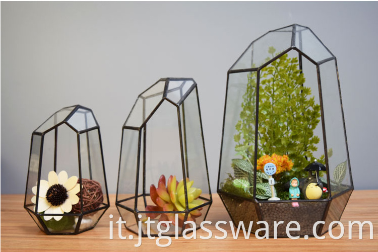Glass Plant Terrarium3
